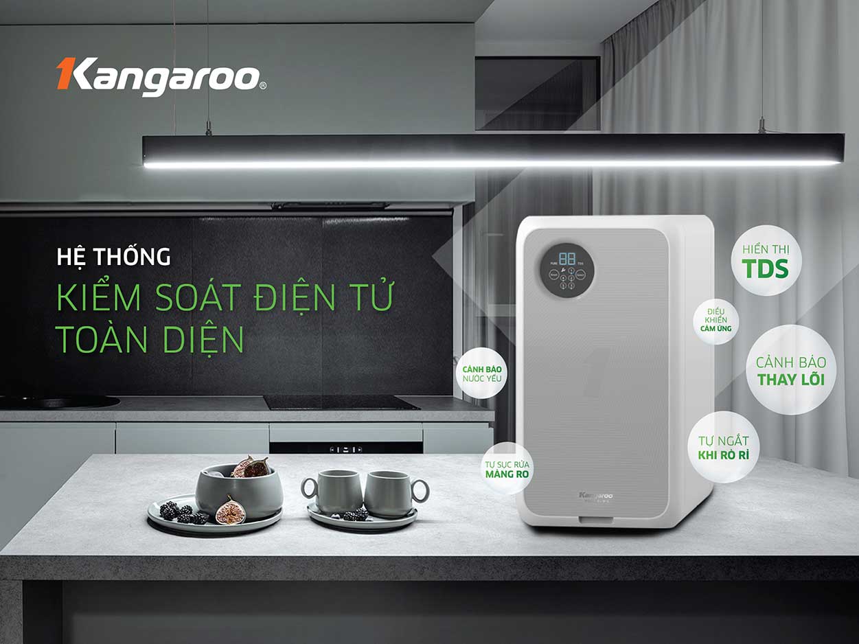 Hệ thống kiemr soát điện tử toàn diện